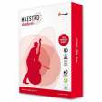 Папір Maestro Standard + А4, клас С +, 80г / м2, 500 аркушів