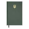  Щоденник недат. AIRY , A5, зелений , бумвініл, 336 стор