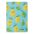 Книга для нотаток FRUITS, А5, 32 арк., клітинка, прошита обкладинка, блакитна