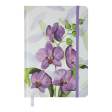 Книжка записна ORCHID, на гумці, А5, 96 арк., клітинка, офсет крем., тв.лам.обл., лавандова
