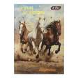 Щоденник шкільний NIGHT HORSE, В5, 40арк, тверд. обкл., мат. ламінація + виб.УФ-лак і тисн.фольгой,, KIDS Line
