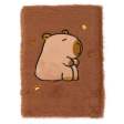 Блокнот плюшевий CAPYBARA 25, А5, 80 арк., клітинка, асорті, KIDS Line