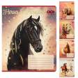 Зошит учнівський шкільний HORSES, 24арк., клітинка, KIDS LINE