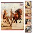 Зошит учнівський шкільний HORSES, 24арк., лінія, KIDS LINE