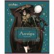 Зошит предметн. 48 арк., кл., фольга+УФ, HP, алгебра
