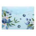 Папка-конверт А4 на кнопці, BLUEBERRY ARABESKI, напівпрозора, морська хвиля