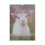 Календар настінний 2027 р., А3, 1 пружина, Cute goat