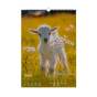 Календар настінний 2027 р., А3, 1 пружина, Cute goat