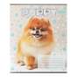 Зошит учнівський шкільний DOGS, 12 арк., коса, KIDS LINE