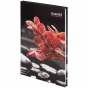 Книга записная твердая обл. А5, 96 л., клет.,  Red&Black Flower