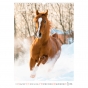 Календарь настенный А3 2026, Horses