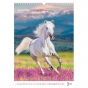 Календарь настенный А3 2026, Horses