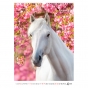 Календарь настенный А3 2026, Horses