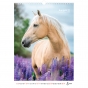 Календарь настенный А3 2026, Horses