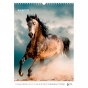 Календарь настенный А3 2026, Horses