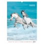 Календарь настенный А3 2026, Horses