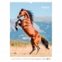 Календарь настенный А3 2026, Horses