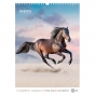 Календарь настенный А3 2026, Horses