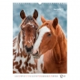Календарь настенный А3 2026, Horses