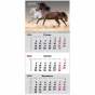 Календар настінний квартальний 2026 р.,1 пр. Horses 3
